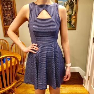 Blue and White Striped Fit and Flare Dress